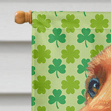 Load image into Gallery viewer, Irish Setter St. Patrick's Day Shamrock Flag Canvas House Size LH9569CHF