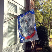 Load image into Gallery viewer, Great Dane Winter Snowflakes Holiday Flag Canvas House Size LH9584CHF