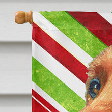 Load image into Gallery viewer, Irish Setter Candy Cane Holiday Christmas Flag Canvas House Size LH9590CHF