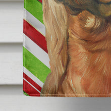 Load image into Gallery viewer, Irish Setter Candy Cane Holiday Christmas Flag Canvas House Size LH9590CHF