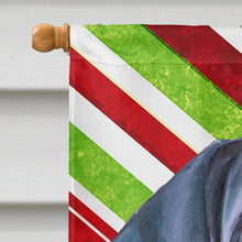 Load image into Gallery viewer, Black Great Dane Puppy Candy Cane Holiday Christmas Flag Canvas House Size LH9593CHF