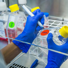 Load image into Gallery viewer, 2&quot; Removable Round Color Coding Sheeted Dot Kit (Primary): 100/Pack