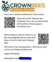 Load image into Gallery viewer, Cabana Bee House &amp; Complete Kit with Bee Certificate