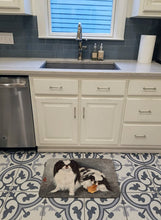 Load image into Gallery viewer, Japanese Chin Impress Machine Washable Memory Foam Mat MH1050RUG