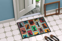 Load image into Gallery viewer, Lots of Black Labrador Retriever Doormat - 24x36 Decorative Floor Mat – Indoor/Outdoor Rug with Artistic Flair