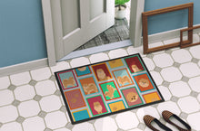 Load image into Gallery viewer, Lots of Orange Pomeranian Doormat - 24x36 Decorative Floor Mat – Indoor/Outdoor Rug with Artistic Flair