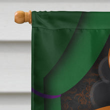 Load image into Gallery viewer, Papillon Halloween House Flag