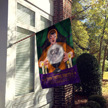 Load image into Gallery viewer, Schnauzer Halloween House Flag