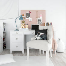 Load image into Gallery viewer, Boston Terrier Spot in the Sun Throw Pillow - 14x14 Decorative Pillow – Art for Your Home &amp; Patio MW1315PW1414