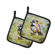 Load image into Gallery viewer, Be Blinkin Pot Holders - Set of 2 Decorative Kitchen Helpers | Made in the USA