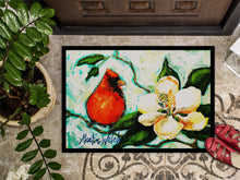 Load image into Gallery viewer, Cardinal Aqua Doormat-24x36 Indoor / Outdoor Rug | Made in USA