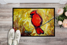 Load image into Gallery viewer, Sha Red Baba Bird Doormat-24x36 Indoor / Outdoor Rug | Made in USA