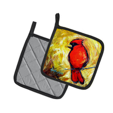 Load image into Gallery viewer, Sha Red Baba Bird Pot Holders - Set of 2 Decorative Kitchen Helpers | Made in the USA