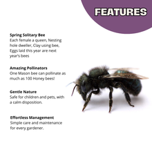Load image into Gallery viewer, Chalet Bee House &amp; Complete Kit including Bee Certificate