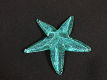 Load image into Gallery viewer, Mermaid Tail Starfish