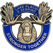 Load image into Gallery viewer, CL5-015 Lake Placid FL and Sebring Florida Stronger Together Moose Rack Pin Lodge Pride not challenge coin