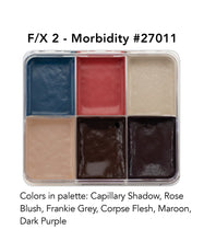 Load image into Gallery viewer, F-X Aire™ Alcohol Palettes