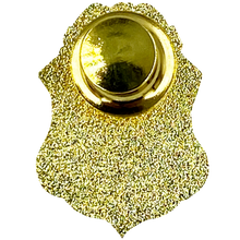 Load image into Gallery viewer, CL13-10 Nuclear Commission Regulatory Commission Special Agent metal pin