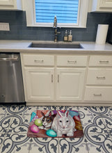 Load image into Gallery viewer, Buddy Buddies Easter Rabbit Machine Washable Memory Foam Mat PJC1064RUG