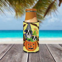 Load image into Gallery viewer, Boston Terrier Halloweenies  Hugger for slim cans PPP3033MUK