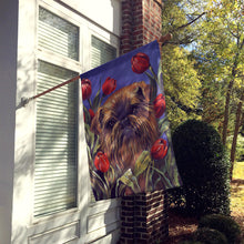 Load image into Gallery viewer, Brussels Griffon Peek a Boo Flag Canvas House Size PPP3041CHF
