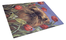 Load image into Gallery viewer, Brussels Griffon Peek a Boo Glass Cutting Boards – Durable, Decorative Kitchen Art Large PPP3041LCB