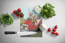 Load image into Gallery viewer, Cairn Terrier On the Move Glass Cutting Boards – Durable, Decorative Kitchen Art Large PPP3055LCB