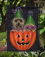 Load image into Gallery viewer, Cairn Terrier Halloween PeekaBoo Garden Flag – Decorative Outdoor Yard Flag PPP3056GF