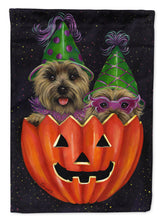 Load image into Gallery viewer, Cairn Terrier Halloween PeekaBoo Garden Flag – Decorative Outdoor Yard Flag PPP3056GF