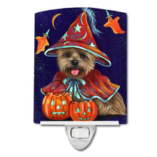 Load image into Gallery viewer, Cairn Terrier Halloween Witch Ceramic Night Light PPP3061CNL