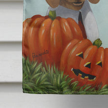 Load image into Gallery viewer, Dachshund Thanksgiving Pilgrims Flag Canvas House Size PPP3087CHF
