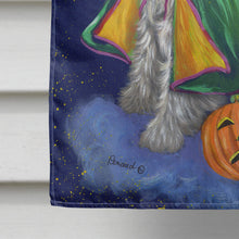 Load image into Gallery viewer, Schnauzer Halloween Good Witch Flag Canvas House Size PPP3159CHF