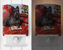 Load image into Gallery viewer, Scottie Lil Einstein Ceramic Night Light PPP3179CNL