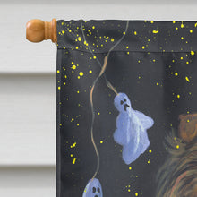 Load image into Gallery viewer, Sheltie Halloween Witch Flag Canvas House Size PPP3186CHF