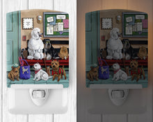 Load image into Gallery viewer, Dogs Vet Visit Ceramic Night Light PPP3196CNL