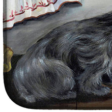 Load image into Gallery viewer, Cairn Terrier Bath Time Dish Drying Mat – Absorbent, Artistic Kitchen Essentials PPP3250DDM