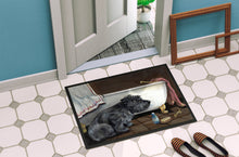 Load image into Gallery viewer, Cairn Terrier Bath Time Doormat - 18x27 Decorative Floor Mat – Indoor/Outdoor Rug with Artistic Flair PPP3250MAT