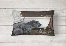 Load image into Gallery viewer, Cairn Terrier Bath Time Canvas Fabric Decorative Pillow PPP3250PW1216