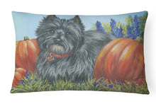 Load image into Gallery viewer, Cairn Terrier Mom's Pumpkins Canvas Fabric Decorative Pillow PPP3253PW1216