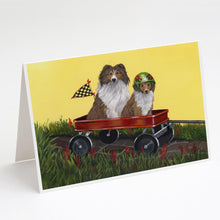 Load image into Gallery viewer, Sheltie Sheepdog Express Greeting Cards -  Blank Note Cards – 8-Pack of Artist-Designed Cards with Envelopes