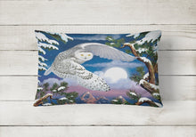Load image into Gallery viewer, Snowy Owl Canvas Fabric Decorative Pillow PRS4030PW1216