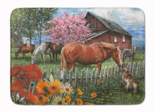 Load image into Gallery viewer, Horses Chatting with The Neighbors Machine Washable Memory Foam Mat PTW2020RUG