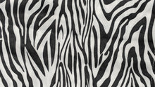 Load image into Gallery viewer, Tache Winter Moon Black Stripe Zebra Animal Print Gold Tailored Platform 14" Bed Skirt Dust Ruffle (BSK-4358L)