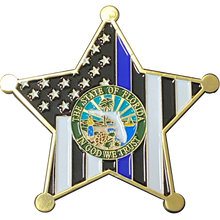 Load image into Gallery viewer, K-015 Palm Beach County Florida Deputy Sheriff Thin Blue Line Beard Gang Skull Challenge Coin