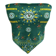 Load image into Gallery viewer, Vermont Bandana Top
