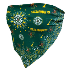 Load image into Gallery viewer, Vermont Bandana Top