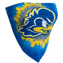 Load image into Gallery viewer, Delaware Tie Dye Bandana Top