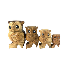 Load image into Gallery viewer, 3&quot; Wooden Musical Whistle Owl  Instrument