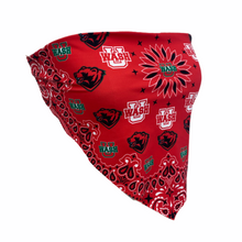 Load image into Gallery viewer, WashU Bandana Top