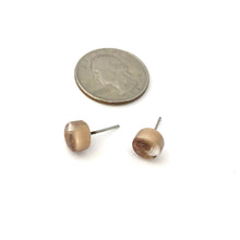 Load image into Gallery viewer, Beige &amp; Brown Swirl Stud Earrings